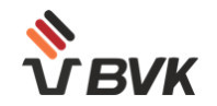 BVK LLC
